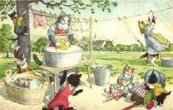 Cats music band.