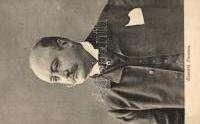 de Koning in Wilhelmina