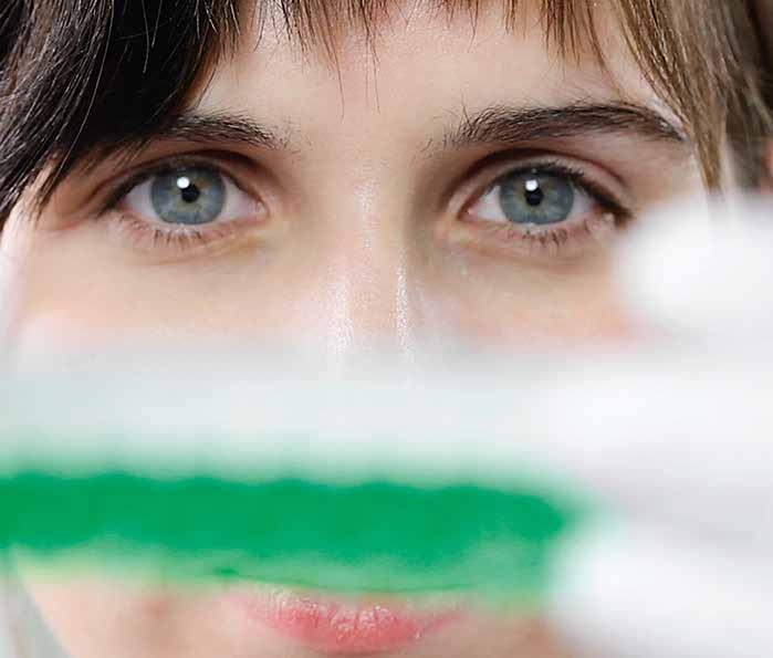 Kutatás / nemesítés Sikerünk titka: innovatív kutatás és fejlesztés A Német Növénynemesítő RT (DSV) a termesztés és fajták kiválasztása terén