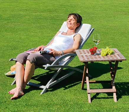 EUROGRASS A keveréken múlik EUROGRASS márkanéven a DSV két fűkeverék programot