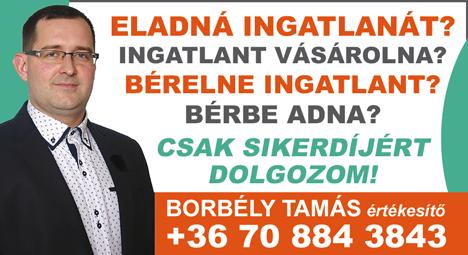 1990 óta a választás időpontjának kitűzése a köztársasági
