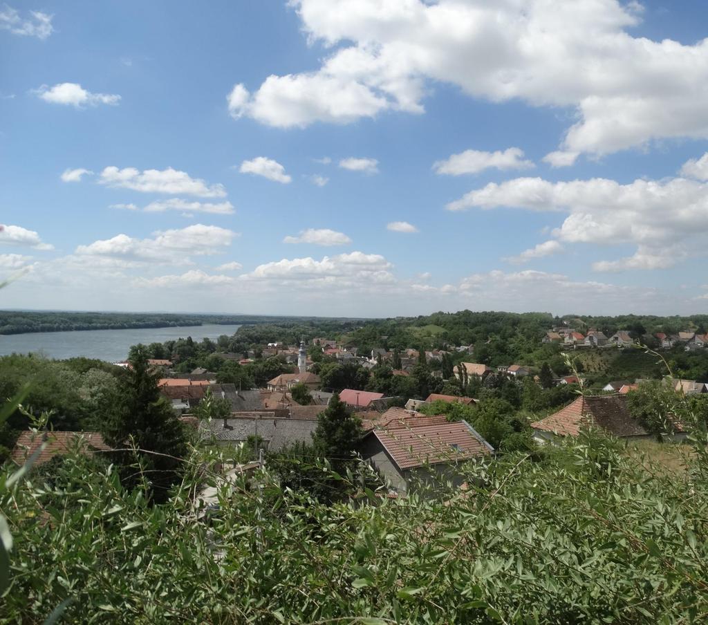 amelynek legjelentősebb