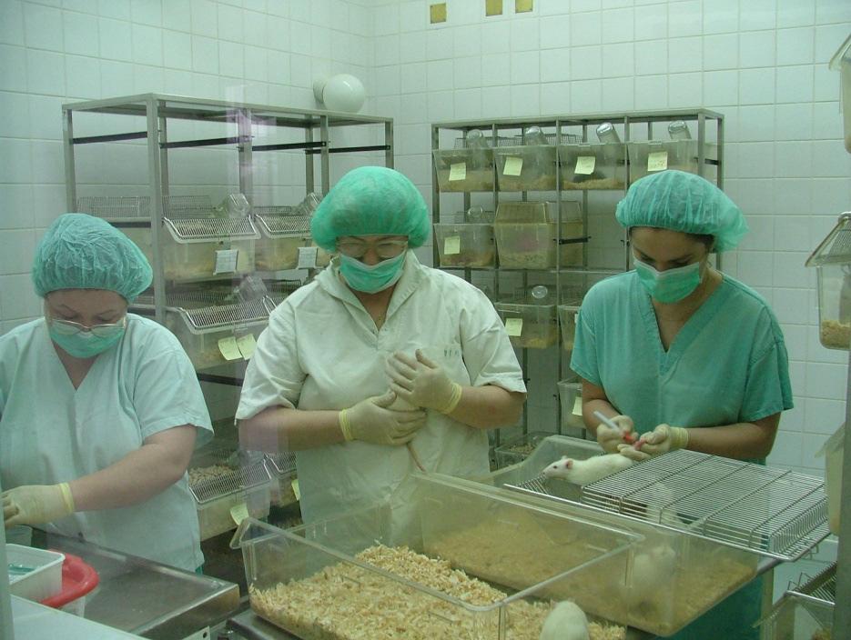 Az állatházban tartott állatok egészségének védelme A szociális környezet Az ember mint környezeti tényező: Szabályozza
