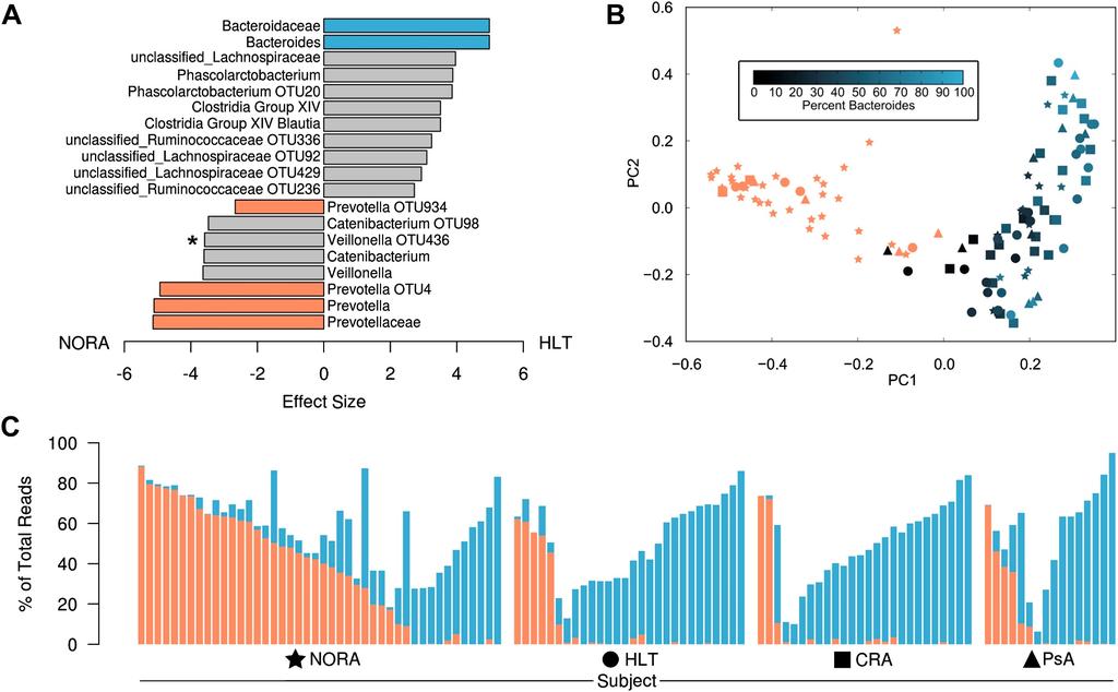 Expansion of intesgnal Prevotella copricorrelates with enhanced