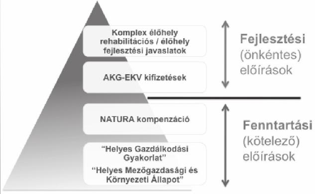 jogszabályokban rögzített, kötelező előírások; Natura 2000 kompenzációs előírások (kötelező formában).