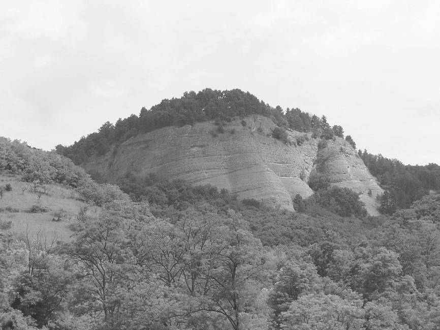 3. kép. A Nagy-kő látképe a Paraszt-tagi-völgy felől a Vajdavár-vidék legimpozánsabb sziklafala tszf. 320 400 m magasságban (3. kép). Közel függőleges falának legnagyobb magassága 80 m.