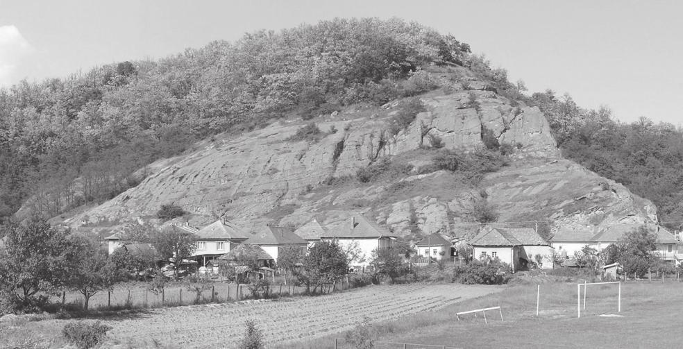 7. kép.