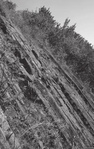 Kutatási módszerek Kutatómunkánk során a mintaterület terepbejárása, az egyes geológiai és geomorfológiai értékek GPS-koordinátáinak rögzítése (Garmin etrex, VISTA Cx), az andezit rétegek dőlés- és