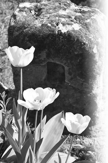 oldal 2014.04.29 17:28 Page 3 ELMÚLT HÓNAP KÉPEKBEN Szabó Lôrinc AZ ANYÁK Csak egy voltak kivétel, az Anyák. Szentek és ápolónôk: a csodát, a jelenést láttam bennük.