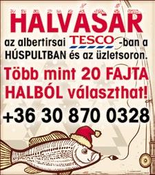 sebészet, Vastagbél, emlő és egyéb daganatos