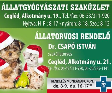 szerelmes leveleit. Ezeknek keletkezési történetét megírta sajátos, szokásos stílusában.