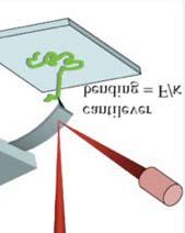 technikákkal DNS