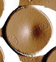 rugólapka lézer 2 µm