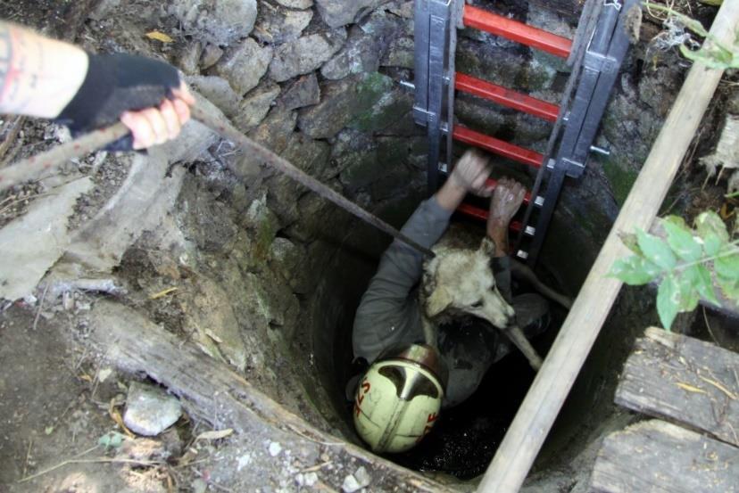 káreset, rendellenes technológiai folyamat, műszaki meghibásodás, veszélyes anyag szabadba jutása vagy egyéb cselekmény által előidézett veszélyhelyzet során az emberélet, a testi épség és az anyagi