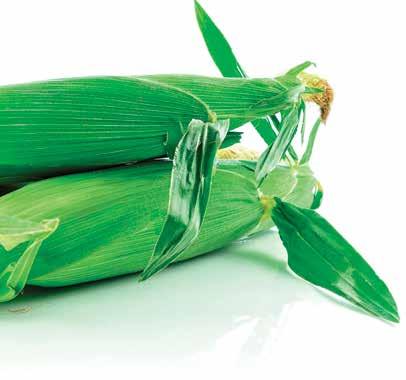 NAGANO Természetes herbicid Hatóanyaga: 100 g/l mezotrion + 100 g/l bromoxinil Forgalmazási kategória: I. Kiszerelési egység: 5 liter KULTÚRA KÁROSÍTÓ DÓZIS É.V.I. kukorica magról kelő kétszikű gyomnövények 1 liter/ha nk.