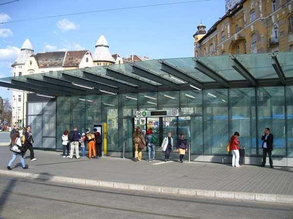 Gomba 80