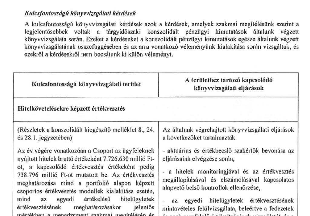 FÜGGETLEN KÖNYVVIZSGÁLÓ