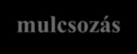 levelek, kéregből készült termékek, stb.