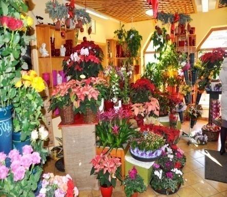 Virágüzletek/ Blume Virágsziget Hétfő-Péntek:08-17 Szombat:08-13 Vasárnap:08-12 Cím:Szolnoki út 7. Százszorszép Virág és Ajándék Hétfő-Péntek:8-17.30 12-13.