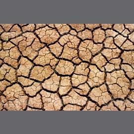 A talaj szerkezeti elemei és értékelése Az aggregátumok fizikai, kémiai és biológiai folyamatok eredményeként alakulnak ki.