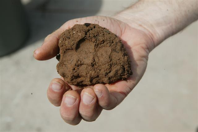 A talaj szemcseösszetétele Az agyagfrakció: szemcséire jellemző a nagy fajlagos felület, a