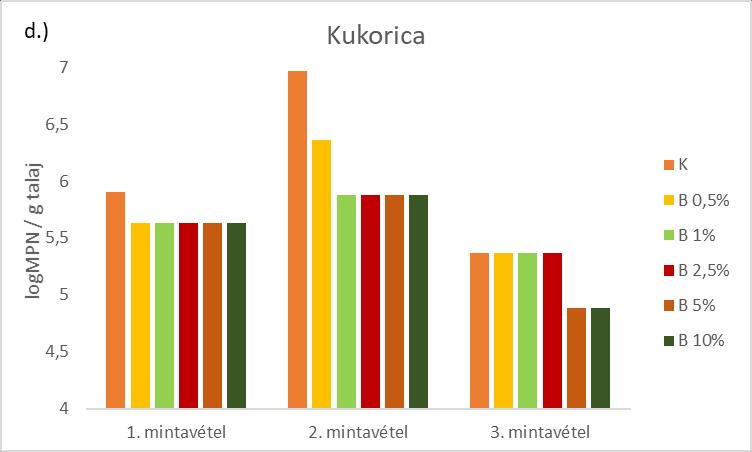 növények talajból felvehető N felvételére, addig kukoricán pozitív hatás (+48%, +40%) érvényesült (13/a. ábra).