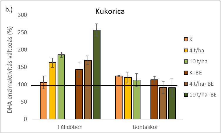 Mindkét szabadföldi növénykísérletben szignifikáns (p<0,05) különbséget találtam a kezeletlen kontroll, valamint a 4 t/ha bioszén+be, valamint a 10 t/ha bioszén+be kezelések között.