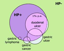 Helicobacter pylori (Hp) fertőzés és betegség