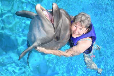 Sealanya Delfinúszás A delfinekkel való úszás egy fantasztikus élmény lehet az emberek életében, az állatok kisugárzása, emberre való hatása nagyon érdekes.