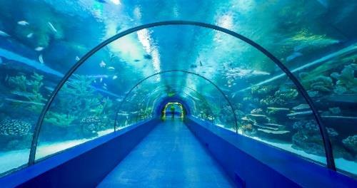 Aquarium Antalya óriás akváriumának lenyűgöző komplexuma lehetővé teszi, hogy felfedezhessék a víz alatti világot.