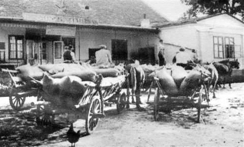 padlássöprések következtében 800 ezer gazdálkodó maradt vetőmag nélkül, vagy nem tudta önállóan ellátni családját.