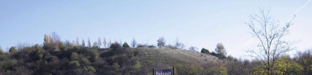FELCSÚT