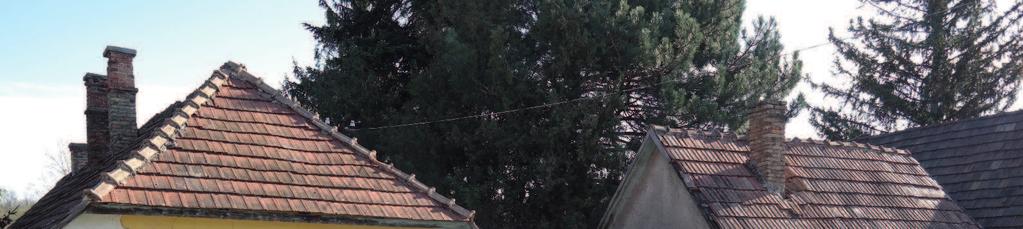 8 Örökségünk A település házainak túlnyomó része ilyen, keskeny telken, egy hosszú ház, az utcai oldalra összpontosított önkifejező, illetve reprezentációs szándékkal.