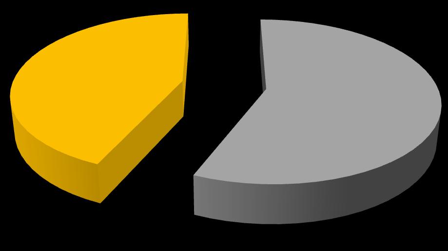 Nemek aránya 43,50% 56,50% Férfi Nő 11.
