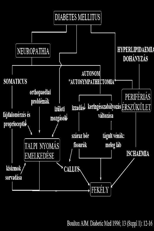 2.3. ábra: A diabeteszes láb szindróma