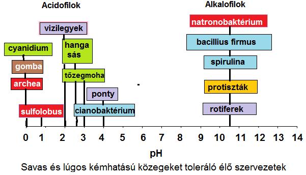 telített, vagy esetleg túltelített is lehet. Ilyen a Nagy Sós-tó az Amerikai Egyesült Államok nyugati részén, Utah államban, a Holt-tenger és számos hőforrás is.