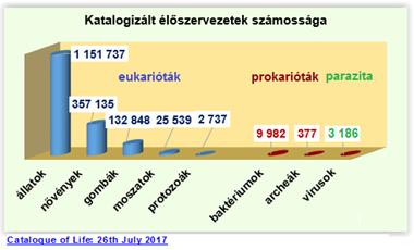 területére, eltérő színű nővényeket kellene ültetni. A jeladás ötletének megvalósulása azonban még 150 évet váratott magára. A XX.