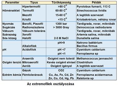 óceánból. A kilövellések kémiai analízise vízgőzből, szén-dioxidból, szén-monoxidból és szerves anyagokból álló gázkeveréket mutatott ki.