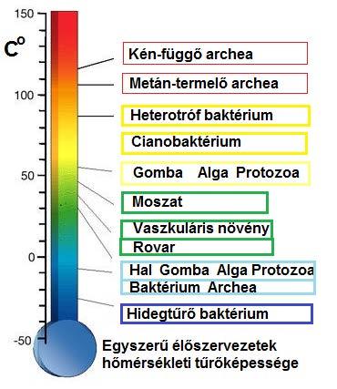 Túlélők kerestetnek! legfontosabb környezeti paraméterek, a hőmérséklet, a nyomás és a környezet kémiai összetétele.