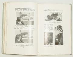 (Tekintettel az agy phylo- és ontogenesisére) (215, részben színes ábrával). Bp., 1938. Novák Rudolf és Társa. 295 p. / Lélek- és természettudomány XIX.