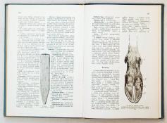 papírborító előlapja a kötéstáblára dolgozva. 208 mm. Jó állapotú példány. 469. KÉKESSY LÁSZLÓ: A magyar vadász kézikönyve.