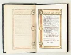 ] Rab Gusztáv: Mocsárláz (Bp., 1929.) Genius. 1 t. (színes, hártyapapírral), 3 sztl. lev. 228 p., 2 sztl. lev. Számozott! Aláírt!