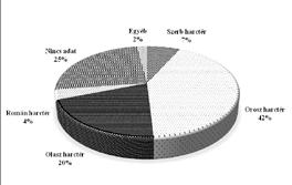 BELVEDERE 2016. 4. Publications 101 sza szorították az olasz erőket a Tagliamento 46 folyó mögé, november végére pedig a Piave mentén sorakoznak fel a szembenálló felek.