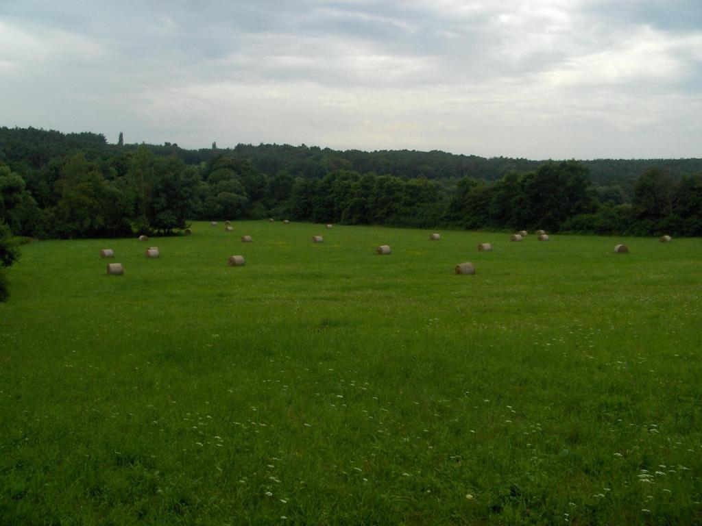 Köszönöm a