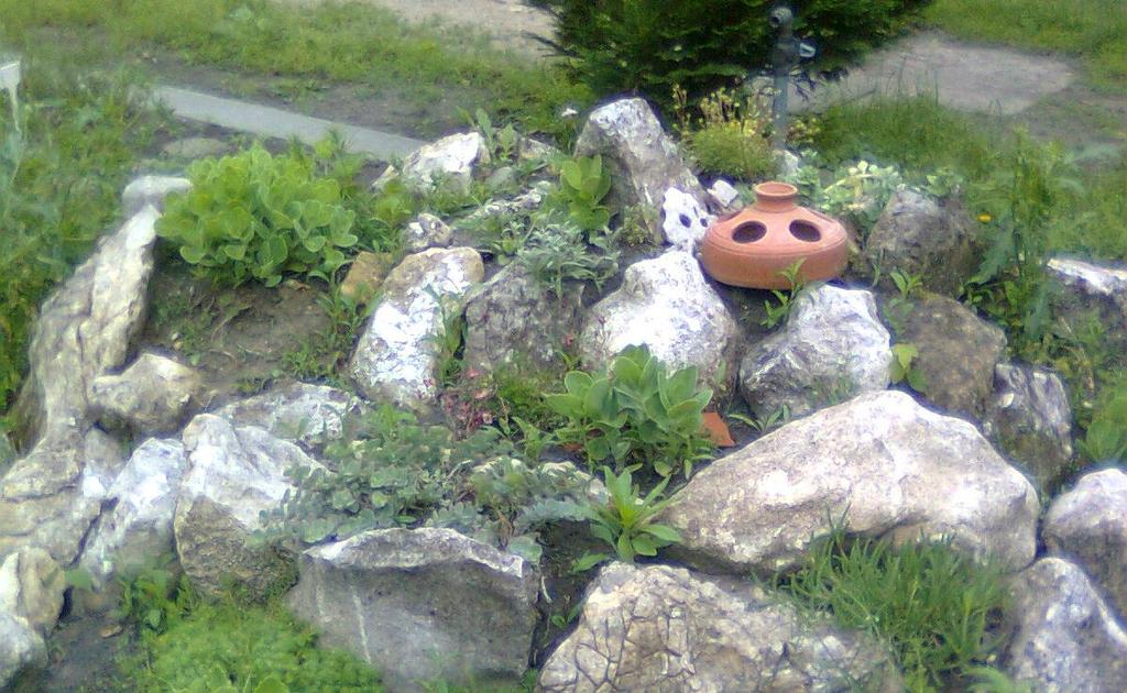 MADÁR ITATÓ A sziklakerten madáritató is helyet kapott,