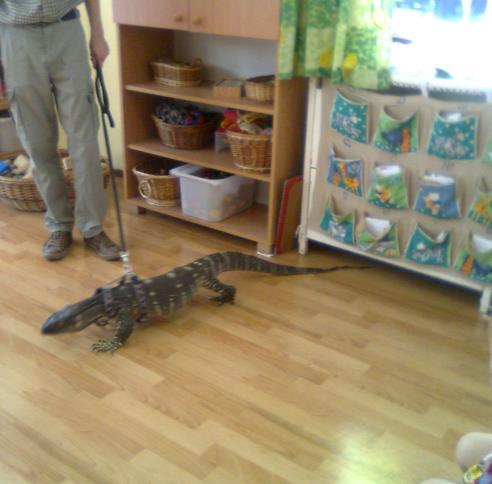 ÁLLATOK VILÁGNAPJA Az Elveszett Állatok Alapítvány és