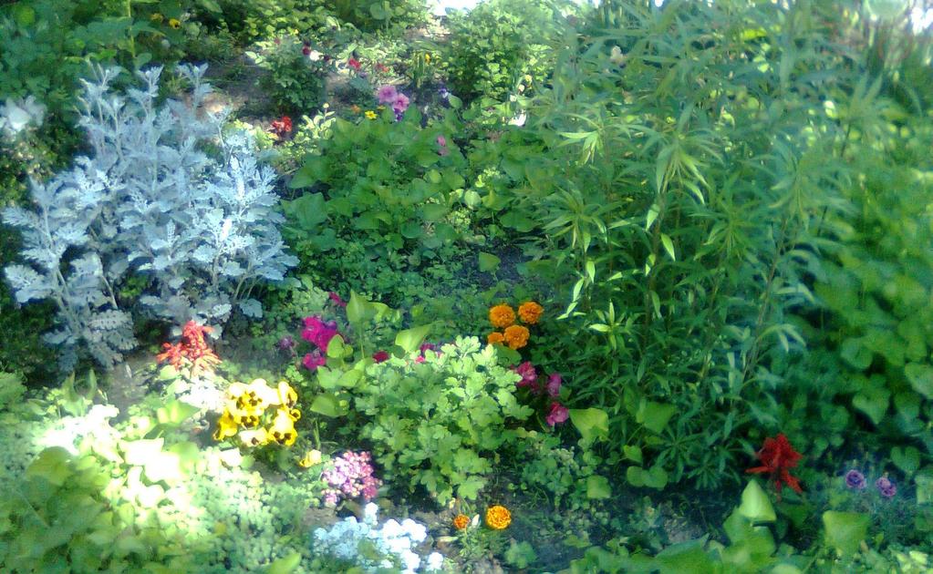 EGY GYEREK- EGY PALÁNTA AKCIÓ Tavasszal és ősszel minden