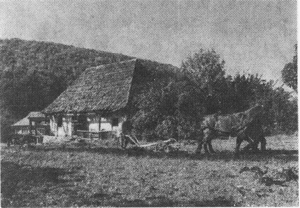 1. fotó: A ház és a