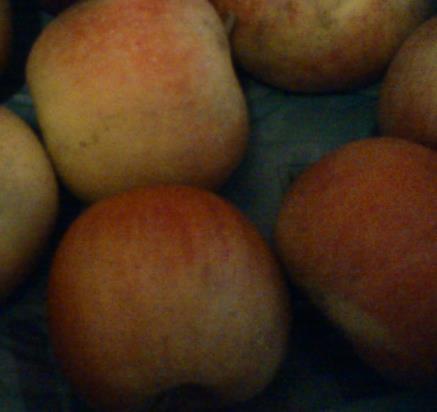 A világ egyik legkedveltebb almafajtája, a Red Delicious fajta után a