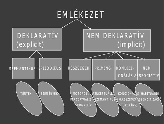 1. ábra: Emlékezeti rendszerek osztályozása (Squire, Clark és Baylay 2004, idézi Csépe, Győri és Ragó 2007, 211).